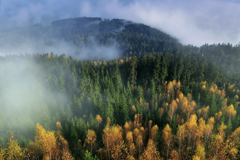 Do you know how you can truly become a part of nature and communicate with wild animals?