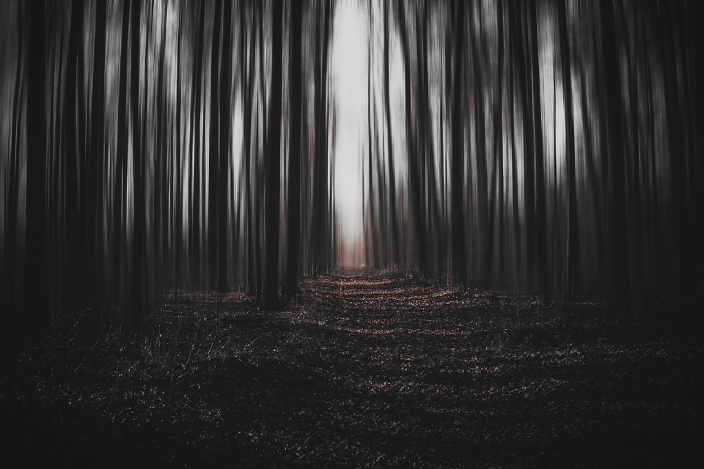 A state of Fear isolates us from our natural environment