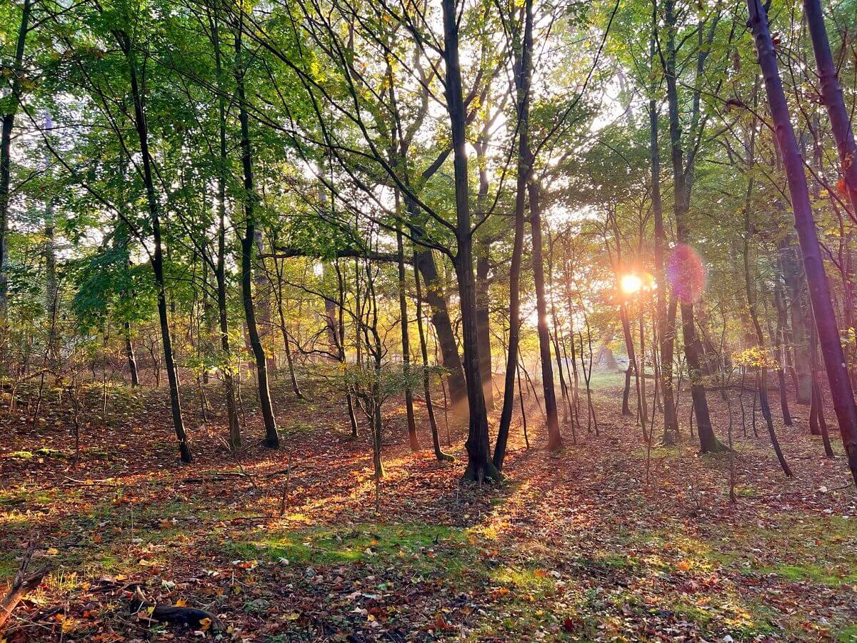 Why reconnecting with nature is important