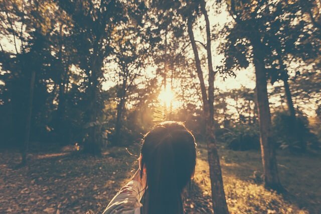 sit spot forest bathing reconnecting with nature 640px (1)