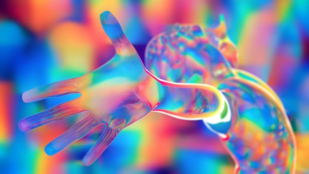 The 12 chakra system